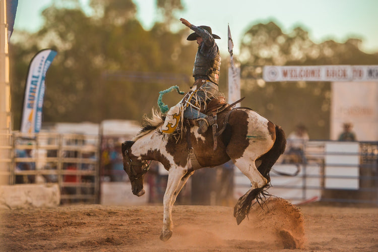 Kickin Up The Dust