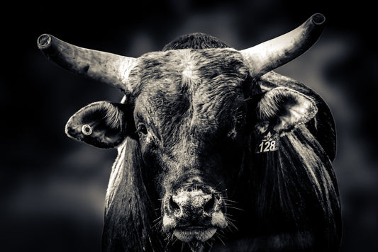 Don's Choice: 128 BULL