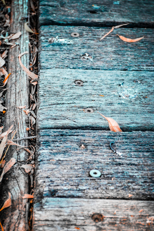 The Boardwalk