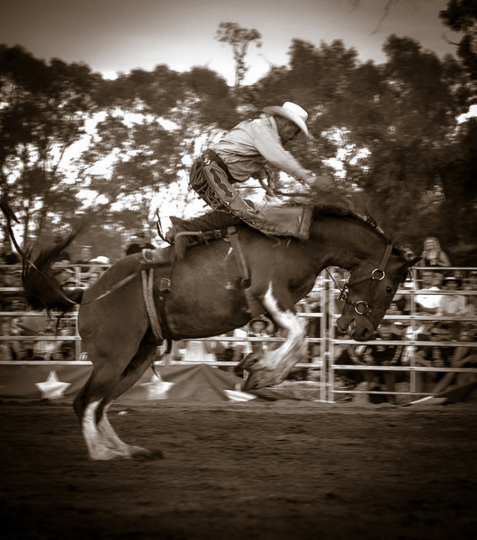 Kickin 7
