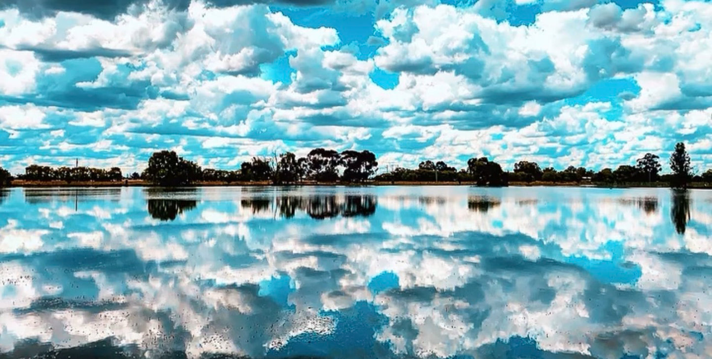 Don's Choice: "Reflections"