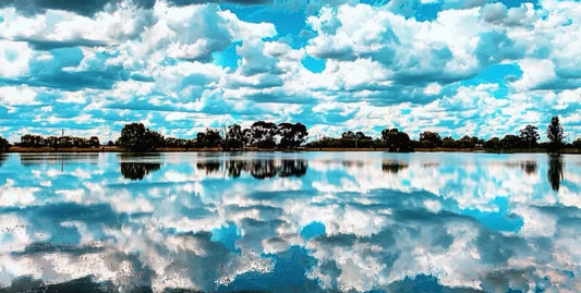 Don's Choice: "Reflections"