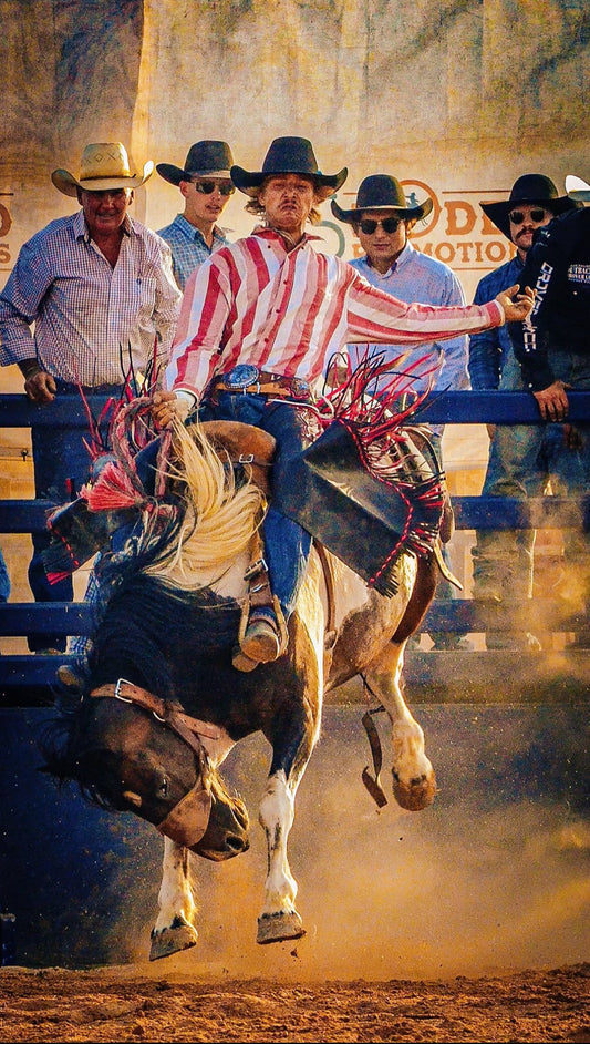 Don's Choice: "The Ride""