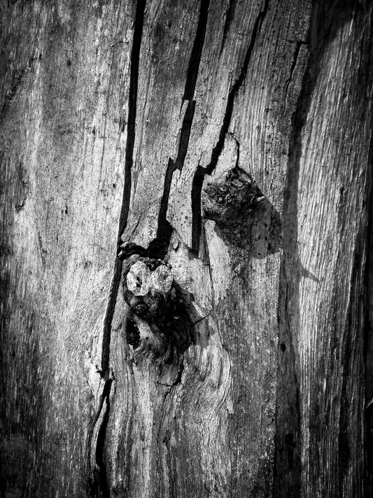 "Weathered"